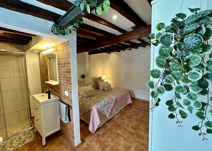 Con Piscina Climatizada Icod De Los Vinos