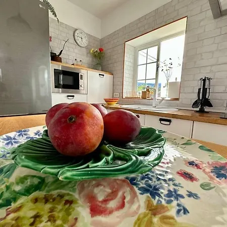 Con Piscina Climatizada Tatil Evi