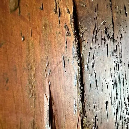 Nyaraló Con Piscina Climatizada *