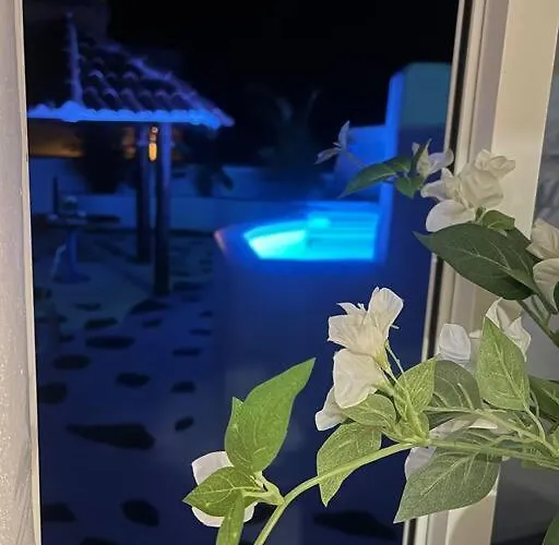 Con Piscina Climatizada *