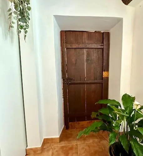 Con Piscina Climatizada Feriehus Icod De Los Vinos