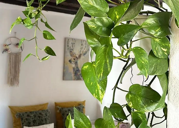 Feriehus Con Piscina Climatizada Icod De Los Vinos