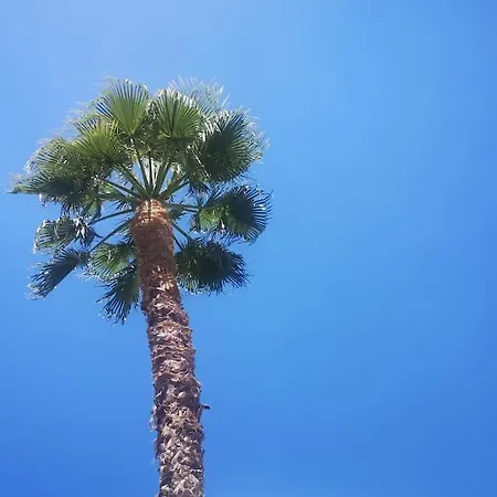 Vakantiehuis Con Piscina Climatizada *