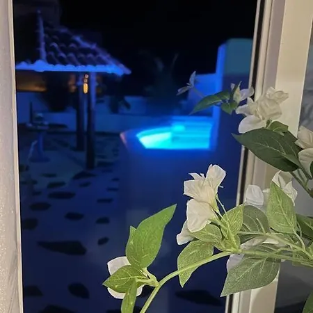 Con Piscina Climatizada *