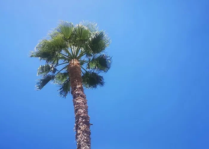 Vakantiehuis Con Piscina Climatizada *