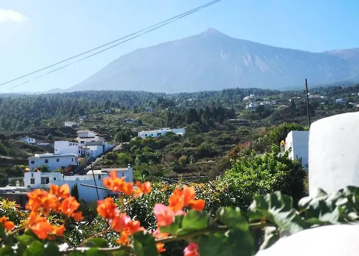 Con Piscina Climatizada * Icod De Los Vinos