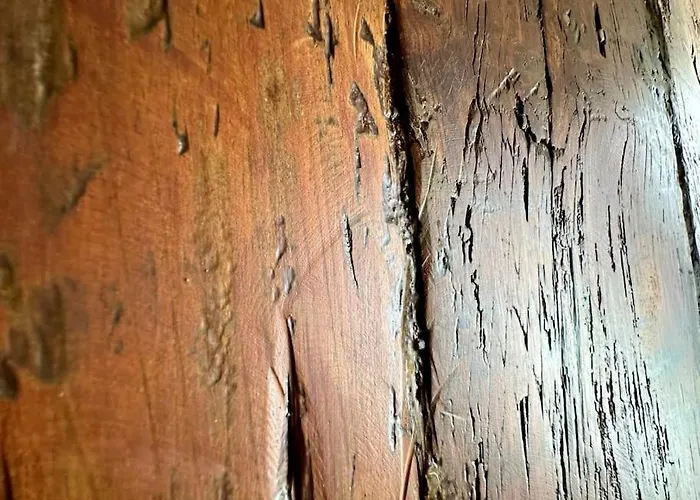 Vakantiehuis Con Piscina Climatizada *